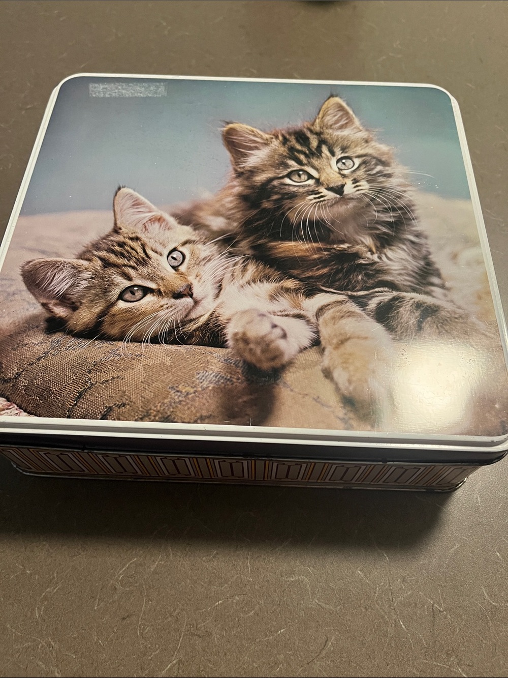Vtg Cat Tin Storage Box with Kitten Print 9”x2.5”by Elkes
